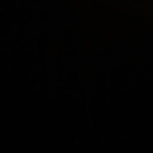 Meet your Posher, Bryce